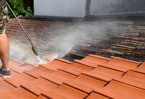Best Pressure Washing Near Me  in Broussard, LA