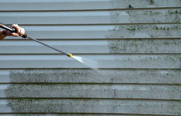 Best Affordable Power Washing  in Broussard, LA